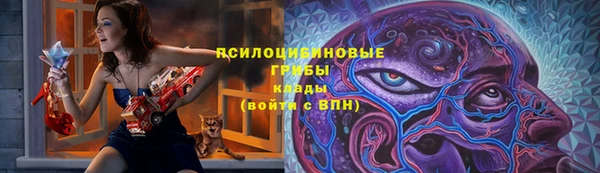 ALPHA PVP Костерёво