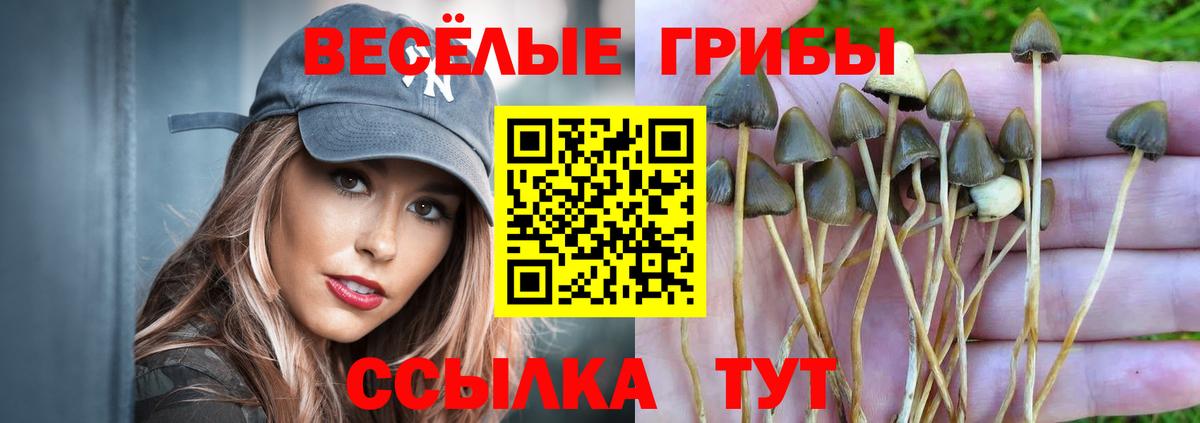 Гашиш Новошахтинск